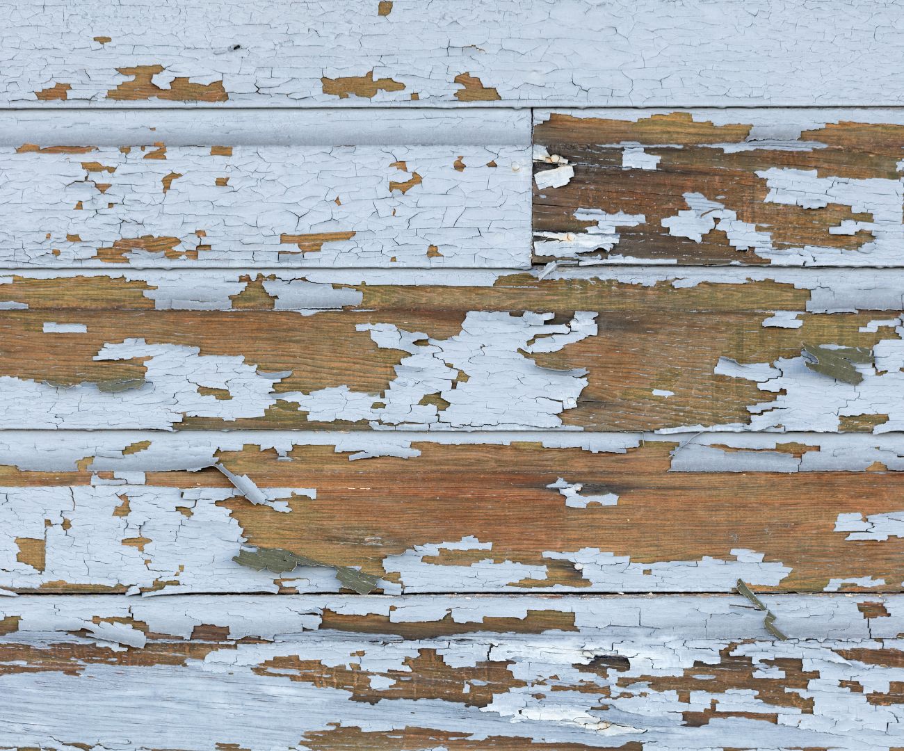 lead based paint inspections